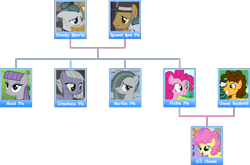 Size: 3000x1976 | Tagged: safe, artist:negatif22, cheese sandwich, cloudy quartz, igneous rock pie, li'l cheese, limestone pie, marble pie, maud pie, pinkie pie, earth pony, pony, g4, the last problem, family tree, female, male, mare, pie family, pie sisters, siblings, simple background, sisters, stallion, transparent background
