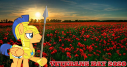 Size: 2064x1101 | Tagged: safe, artist:not-yet-a-brony, flash sentry, g4, 1917, armor, belgium, flanders fields, flower, lyrics in the description, movie reference, poppy, remembrance day, royal guard armor, song reference, sunset, veterans day, war, world war i, youtube link