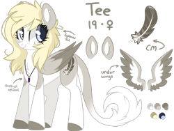 Size: 2224x1668 | Tagged: dead source, safe, artist:cinnamontee, oc, oc only, oc:tegan, pegasus, pony, female, mare, reference sheet, simple background, solo, transparent background, two toned wings, wings