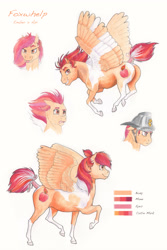 Size: 4000x6000 | Tagged: safe, artist:lady-limule, oc, oc only, oc:foxwhelp, pegasus, pony, pandoraverse, coat markings, female, flying, helmet, magical lesbian spawn, mare, offspring, offspring's offspring, parent:oc:api apple, parent:oc:ember, parents:oc x oc, pegasus oc, raised hoof, reference sheet, simple background, socks (coat markings), story included, traditional art, white background, wings
