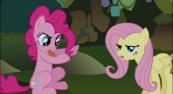 Size: 496x271 | Tagged: safe, screencap, fluttershy, pinkie pie, earth pony, pegasus, pony, bridle gossip, g4, season 1, cropped, duo, everfree forest, evil enchantress, flutterguy, fluttershy is not amused, polka dots, sitting, spitty pie, tongue out, unamused