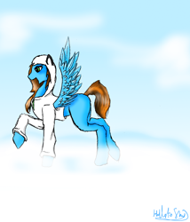 Size: 1176x1376 | Tagged: safe, artist:hills-to-sky, oc, oc only, oc:jaden, pegasus, pony, clothes, cloud, day, female, hoodie, in the clouds, mare, on a cloud, pegasus oc, sky, solo, wings