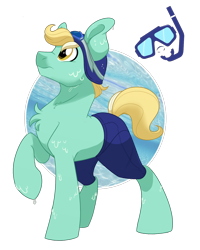 Size: 1200x1500 | Tagged: safe, artist:itstaylor-made, oc, oc only, oc:free style, earth pony, pony, clothes, male, shorts, simple background, solo, stallion, transparent background