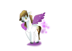 Size: 2912x2059 | Tagged: safe, artist:bubucoy, oc, oc only, pegasus, pony, high res, pegasus oc, simple background, solo, white background, wings