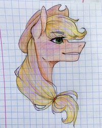 Size: 1080x1350 | Tagged: safe, artist:moona_lou, applejack, earth pony, pony, g4, bust, female, graph paper, hat, mare, smiling, solo, traditional art