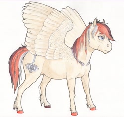 Size: 6320x5950 | Tagged: safe, artist:lady-limule, oc, oc only, pegasus, pony, colored hooves, female, mare, pegasus oc, simple background, solo, traditional art, white background, wings