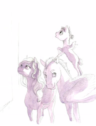 Size: 4770x6218 | Tagged: safe, artist:lady-limule, oc, oc only, oc:silver fang, pegasus, pony, female, filly, looking up, male, mare, pegasus oc, stallion, traditional art, wings