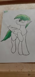 Size: 738x1600 | Tagged: artist needed, safe, derpibooru exclusive, oc, oc only, oc:dreamer skies, pegasus, pony, birthday gift, gift art, looking up, male, pegasus oc, pony oc, solo, stallion, traditional art, wings