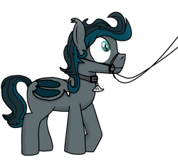 Size: 1000x900 | Tagged: artist needed, safe, oc, oc only, oc:flying saucer, bat pony, pony, bat pony oc, bat wings, bridle, collar, male, pet tag, simple background, solo, stallion, tack, transparent background, wings