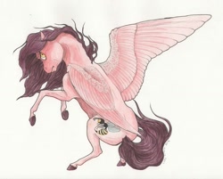 Size: 1023x822 | Tagged: safe, artist:lady-limule, oc, oc only, oc:wasp, pegasus, pony, colored hooves, female, mare, pegasus oc, rearing, solo, story included, traditional art, wings