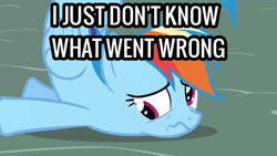 Size: 1280x720 | Tagged: safe, edit, edited screencap, screencap, rainbow dash, pegasus, pony, boast busters, g4, caption, derp, i just don't know what went wrong, image macro, text