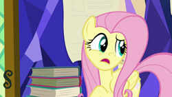 Size: 1920x1080 | Tagged: safe, screencap, fluttershy, pegasus, pony, g4, the hooffields and mccolts, book, female, mare, solo, twilight's castle