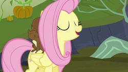 Size: 1920x1080 | Tagged: safe, screencap, fluttershy, pegasus, pony, squirrel, g4, the hooffields and mccolts, female, mare