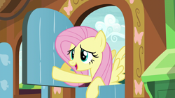 Size: 1920x1080 | Tagged: safe, screencap, fluttershy, pegasus, pony, g4, the hooffields and mccolts, female, fluttershy's cottage, mare, solo
