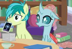 Size: 982x671 | Tagged: safe, screencap, ocellus, sandbar, tree of harmony, changedling, changeling, earth pony, pony, g4, what lies beneath, book, bookshelf, couch, cropped, male