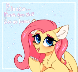 Size: 2316x2150 | Tagged: safe, artist:pesty_skillengton, fluttershy, pegasus, pony, g4, chest fluff, cute, cutie, female, high res, mare, shyabetes, solo