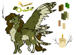 Size: 1280x931 | Tagged: safe, artist:ayartzramen, oc, oc only, oc:summer orchard, pegasus, pony, fluffy, magical gay spawn, male, offspring, parent:big macintosh, parent:zephyr breeze, parents:zephyrmac, pipe, reference sheet, simple background, smoking, solo, stallion, tail feathers, transparent background