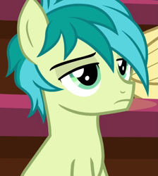 Size: 687x768 | Tagged: safe, screencap, huckleberry, sandbar, earth pony, pegasus, pony, a matter of principals, g4, cropped, friendship student, male, offscreen character, sandbar is not amused, stallion, unamused