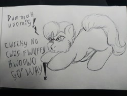 Size: 4160x3120 | Tagged: safe, artist:munstafoal, earth pony, fluffy pony, pony, face down ass up, fluffy, pencil drawing, solo, traditional art