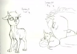 Size: 6608x4616 | Tagged: safe, artist:lady-limule, oc, oc only, dog, dracony, dragon, earth pony, hybrid, pony, earth pony oc, grayscale, inktober 2016, lineart, monochrome, traditional art