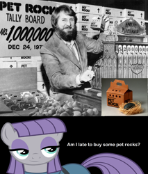 Size: 2048x2408 | Tagged: safe, boulder (g4), maud pie, earth pony, human, pony, g4, black and white, black background, gary dahl, grayscale, high res, how she got boulder, monochrome, pet rock, photo, simple background