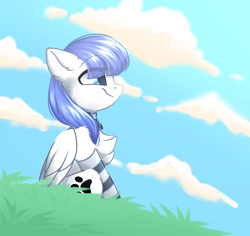 Size: 3428x3235 | Tagged: safe, artist:koro-megasaki-andro4, oc, oc only, oc:snow pup, pegasus, pony, chest fluff, clothes, cloud, cloudy, collar, commission, eye clipping through hair, female, grass, happy, high res, hill, mare, pegasus oc, pet tag, side view, sitting, smiling, socks, solo, striped socks, sunny day, wings, ych result