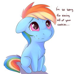Size: 2250x2250 | Tagged: safe, artist:dbleki, rainbow dash, pegasus, pony, g4, apology, blatant lies, chest fluff, cookie thief, crumbs, cute, daaaaaaaaaaaw, dashabetes, dialogue, female, floppy ears, high res, looking up, mare, puppy dog eyes, sad, sadorable, simple background, solo, sweet dreams fuel, this will end in colic, weapons-grade cute, white background