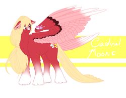Size: 1010x787 | Tagged: safe, artist:minikitty101, oc, oc only, oc:cardinal moon, butterfly, pegasus, pony, femboy, large wings, magical gay spawn, male, offspring, parent:big macintosh, parent:zephyr breeze, parents:zephyrmac, solo, stallion, wings