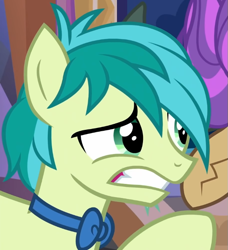 Size: 649x711 | Tagged: safe, screencap, sandbar, yona, earth pony, pony, yak, g4, she's all yak, bowtie, concerned, cropped, gritted teeth, male, raised hoof, solo focus, teenager