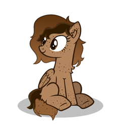 Size: 1216x1200 | Tagged: safe, artist:choisky13, oc, oc only, pegasus, pony, female, mare, simple background, solo, transparent background