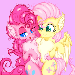 Size: 2500x2500 | Tagged: safe, artist:rurihal, fluttershy, pinkie pie, earth pony, pegasus, pony, semi-anthro, g4, :t, arm hooves, blushing, chest fluff, cute, duo, ear fluff, female, fluffy, high res, licking, licking lips, mare, messy mane, pale belly, side hug, tongue out