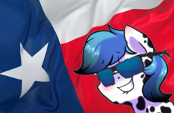 Size: 484x313 | Tagged: artist needed, safe, oc, oc only, pony, flag, solo, spots, stars, sunglasses
