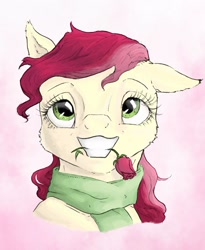 Size: 1024x1249 | Tagged: safe, artist:rachelmacready, roseluck, earth pony, pony, g4, bust, clothes, flower, flower in mouth, mixed media, mouth hold, rose, rose in mouth, scarf, simple background, solo