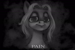 Size: 2048x1365 | Tagged: safe, artist:violettacamak, oc, oc only, oc:absinthe hyacinthum, earth pony, pony, dead stare, looking at you, monochrome, pain, solo, text