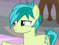 Size: 928x711 | Tagged: safe, screencap, sandbar, earth pony, pony, g4, the hearth's warming club, cropped, male, solo