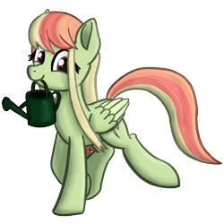 Size: 2000x2000 | Tagged: safe, artist:memeancholy, oc, oc only, oc:gray lily, pegasus, pony, high res, simple background, solo, transparent background, watering can