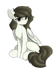 Size: 1200x1560 | Tagged: safe, artist:d.w.h.cn, oc, oc only, pegasus, pony, 2021 community collab, derpibooru community collaboration, looking at you, simple background, sitting, smiling, solo, transparent background