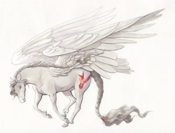 Size: 2500x1897 | Tagged: safe, artist:lady-limule, oc, oc only, oc:silver fang, pegasus, pony, colored hooves, pegasus oc, solo, traditional art, wings