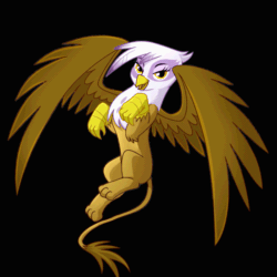 Size: 600x600 | Tagged: safe, artist:madmax, edit, editor:wooshy, gilda, griffon, g4, animated, black background, female, flying, gif, looking at you, simple background, solo