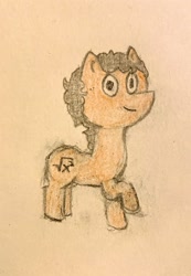 Size: 2229x3228 | Tagged: safe, artist:php159, derpibooru exclusive, oc, oc only, oc:redundant proof, earth pony, pony, disguise, disguised changeling, high res, looking at you, simple background, smiling, smiling at you, solo