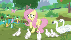 Size: 1920x1080 | Tagged: safe, screencap, fluttershy, bird, butterfly, dove, hummingbird, pegasus, pony, swan, g4, the last problem, sweet feather sanctuary, tree