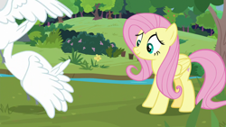 Size: 1920x1080 | Tagged: safe, screencap, fluttershy, bird, pegasus, pony, swan, g4, the last problem, sweet feather sanctuary, tree