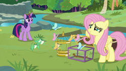 Size: 1920x1080 | Tagged: safe, screencap, fluttershy, twilight sparkle, alicorn, bird, butterfly, hummingbird, pony, g4, the last problem, cage, sweet feather sanctuary, twilight sparkle (alicorn)