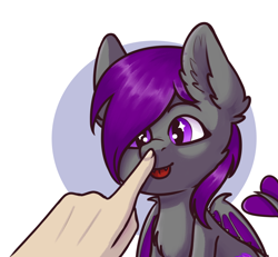 Size: 1010x935 | Tagged: safe, artist:florancesbullshit, oc, oc only, oc:nightlight horizon, dracony, dragon, human, hybrid, pony, :p, boop, commission, dragon tail, hand, happy, simple background, sparkly eyes, tongue out, ych result