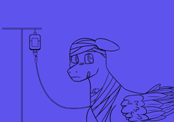 Size: 1800x1260 | Tagged: safe, artist:circumflexs, oc, oc only, pegasus, pony, bald, bandage, bandaid, bands, blue background, floppy ears, folded wings, iv drip, male, monochrome, offscreen character, one ear down, simple background, solo, stallion, weak, wings, wip