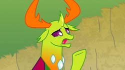 Size: 1280x720 | Tagged: safe, screencap, thorax, changedling, changeling, g4, my little pony: friendship is magic, triple threat, king thorax, male, reaction image, solo