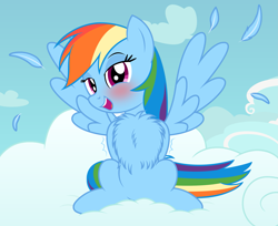 Size: 2377x1944 | Tagged: safe, artist:badumsquish, derpibooru exclusive, rainbow dash, pegasus, pony, g4, arm behind back, bedroom eyes, behaving like a bird, blushing, chest fluff, cloud, courtship, cute, dashabetes, feather, feathered wings, female, flirting, fluffy, front view, impossibly large chest fluff, mare, mating dance, on a cloud, open mouth, peacocking, rainbird dash, show accurate, sitting, sitting on a cloud, smiling, solo, spread wings, wingboner, wings