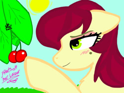 Size: 2048x1536 | Tagged: safe, artist:artmama113, cherry jubilee, earth pony, pony, g4, bust, cherry, female, food, mare, signature, smiling, sun