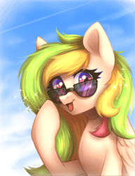 Size: 1470x1900 | Tagged: safe, artist:avrameow, oc, oc only, pegasus, pony, commission, solo, sunglasses, ych result