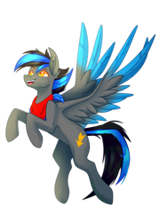 Size: 2150x3000 | Tagged: safe, artist:redheartponiesfan, oc, oc only, oc:sky shoot, pegasus, pony, high res, male, simple background, solo, stallion, transparent background, two toned wings, wings